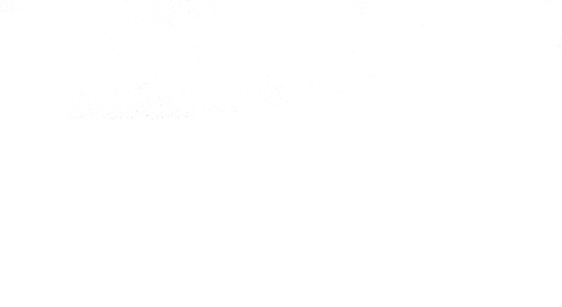 Page (38)